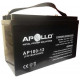 Ắc quy APOLLO 12V 100Ah AP100-12