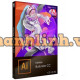 Phần mềm Illustrator for teams ALL Multiple Platforms Multi Asian Languages Subscription New 12 Months 65297605BA01A12