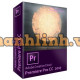 Phần mềm Adobe Premiere Pro for teams ALL Multiple Platforms Multi Asian Languages Subscription New 12 Months 65297626BA01A12