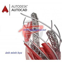 Phần mềm AutoCAD Revit LT Suite 2024 Commercial New Single-user ELD Annual Subscription 12 Months 834P1-WW3740-L562N