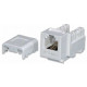 Modular Jack - ổ cắm thoại RJ11 Keystone Jack, Cat.3 unshielded Dintek 1305-01007