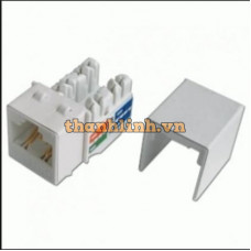 Hạt mạng Dintek CAT.6 chống nhiễu Fully Keystone Jack , Krone type 1305-04006