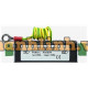 Thiết bị chống sét và bảo vệ nguồn 12/24/220V HDTEC