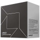 CPU AMD Ryzen Threadripper Pro 7965WX (128M Cache, Up to 5.3GHz, 24C48T, Socket sTR5)
