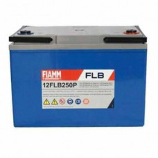 Ắc quy FIAMM 12FLB250P 12V-70AH