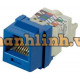 Nhân mạng cat6 – Unshielded modular jack Panduit – TP style