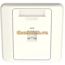 Mặt ổ cắm mạng có nắp che – shuttered faceplate Panduit – 1 cổng – NKFPL86F1SAW