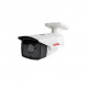 Camera IP Thân Ống Quay Quét 2M , Global TAG-I72L10-VP30-32G