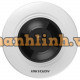 Camera toàn cảnh dạng mắt cá Fisheye 5MP Hikvision DS-2CD2955G0-ISU
