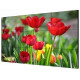 Màn hình ghép 55-inch HIKVISION DS-D2055LU-Y