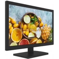 Màn hình Hikvision 19 inch Hikvision DS-D5019QE-B
