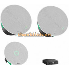 Giải pháp âm thanh trần Yealink CMKit-121