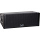 Loa Array Passive Line Array Loudspeaker, Subwoofer, 12'' x 2 ITC LA-112M