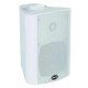 Loa treo tường ITC T-774PW