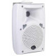 Loa treo tường ITC T-775SW