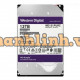 Ổ cứng chuyên dụng cho camera Western Digital 12 TB WD120PURZ