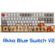 Bàn phím cơ Akko 3087 v2 Steam Engine (Akko Blue Switch V2)