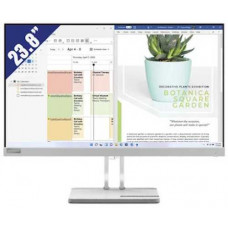 Màn hình Lenovo L24e-40-67AAKAC3VN 23.8 inch (FHD/VA/100Hz/4ms)