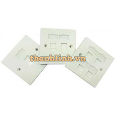 1-port Faceplate British Mode LS