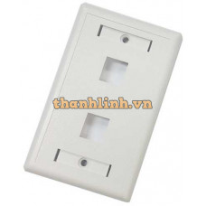 2-port Faceplate US Mode LS