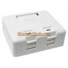 2-Port Surface Mount Box LS-SMB-2PORT