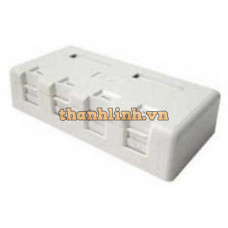 4-Port Surface Mount Box LS-SMB-4PORT