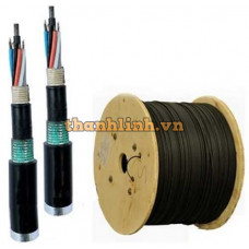 Cáp quang LS Outdoor 96 cores Singlemode (LT-DJBEXXX/BRN SE96XX (12T2.00))