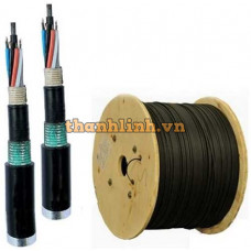 Cáp quang LS Outdoor Multimode OM2 48 cores (LT-DJBGEXX/BRN MG48XX (12T2.30))