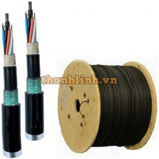 Cáp quang LS Outdoor 10 cores Singlemode (LT-DJBGEXX/BRN SE10XXX (06T1.80))