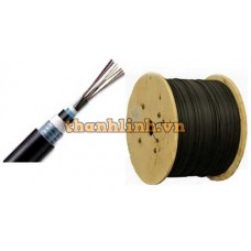 Cáp quang LS Outdoor Multimode 24 cores (LT-DJBGSEX/BRN M424XX (06T2.00))