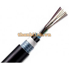 Cáp quang LS Outdoor Multimode 4 cores (LT-DJBGSEX/BRN M44XXX (06T2.00))