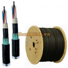 Cáp quang LS Outdoor Multimode 4 cores (LT-DJBGSEX/BRN MG4XXX (06T2.00))