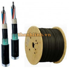 Cáp quang LS Outdoor Multimode 96 cores (LT-DJBGSEX/BRN MG96XX (12T2.30))