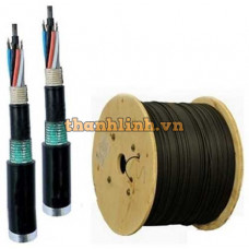 Cáp quang LS Outdoor Multimode 24 cores (LT-DJBGSEX/BRN MX24XX (06T2.00))