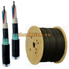 Cáp quang LS Outdoor 6 cores Singlemode (LT-DJBGSEX/BRN SE6XXX (06T2.00))