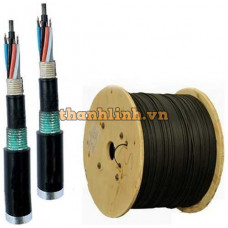 Cáp quang LS Outdoor 96 cores Singlemode (LT-DJBGSEX/BRN SE96XX (12T2.30))