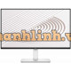 Màn hình Dell S2425HS (23.8 inch/FHD/IPS/100Hz/4ms/loa)