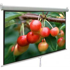 Màn chiếu treo tường 80-inch APOLLO MNS160