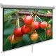 Màn chiếu treo tường 80-inch APOLLO MNS160