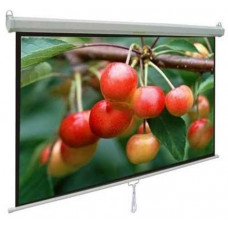 Màn chiếu treo tường 100-inch APOLLO MNS180