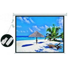 Màn chiếu điện 170-inch DALITE ELS300EZ