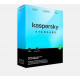 Phần mềm bản quyền Kaspersky Standard SEA 3-Dvc 1Y Bs RP(KL10414UCFS)