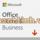 Microsoft Office Home and Business 2019 T5D-03181