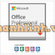 Microsoft Office Pro Plus 2019 79P-05729