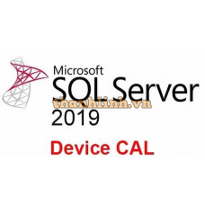 Microsoft SQL Server CAL 2019 359-06865