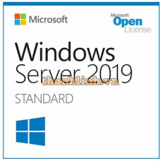 Microsoft SQL Server Standard 2019 228-11477