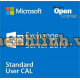 Phần Mềm Microsoft Exchange Standard CAL 2019 381-04492