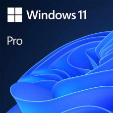 Phần mềm Windows Pro 11 64BIT ENG INTL 1PK DSP OEI DVD FQC-10528