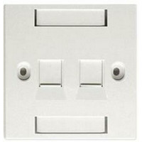 Nắp mạng AMP BS Style Faceplate , 2-Port Shuttered , w/Label và Icon , White 1859050-1