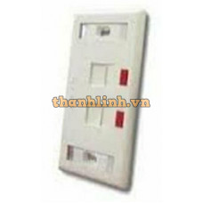 Mặt nạ 2-port Faceplate COMMSCOPE (272368-2)